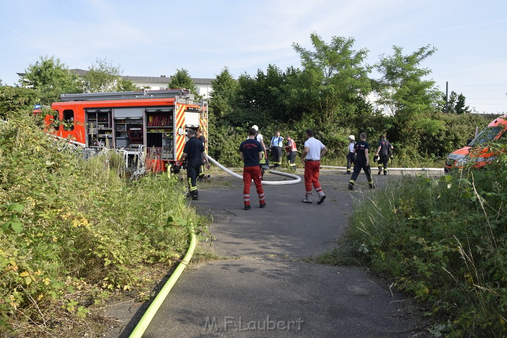 Waldbrand Koeln Hoehenhaus Hoehenfelder Mauspfad P043.JPG - Miklos Laubert